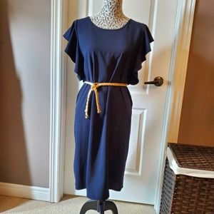 Banana Republic Flutter Sleeve Shift Dress